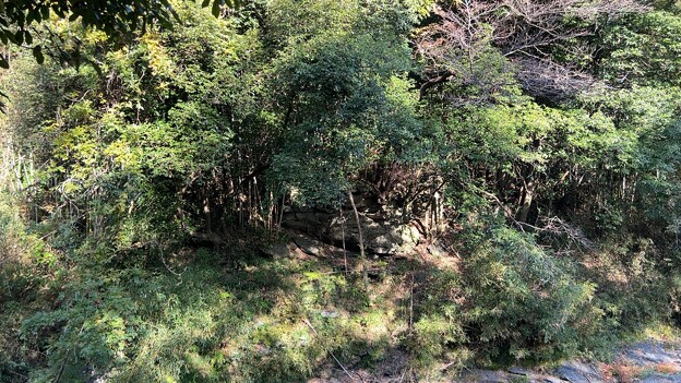 写真: 嵐山岩畳（比企郡嵐山町遠山） (3)