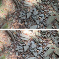 写真: 下里・青山板碑製作遺跡（割谷遺跡。比企郡小川町） (9)