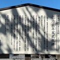 写真: 金乗寺（鴻巣市）仁治三年双式板碑