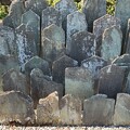 写真: 龍昌寺（鴻巣市） (7)前砂の板碑群