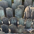 写真: 龍昌寺（鴻巣市） (9)前砂の板碑群