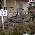 泉岳寺（港区高輪） (9)血染の石・血染の梅