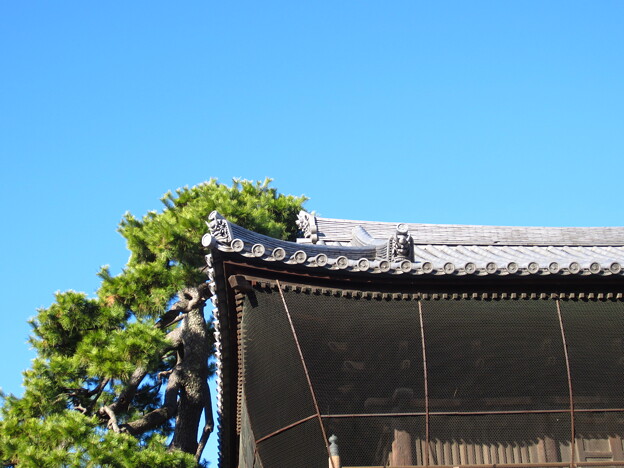 写真: 泉岳寺（港区高輪） (4)山門
