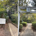 写真: 住吉神社（八王子市立片倉城跡公園） (1)神社参道