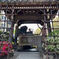 写真: 24.04.15.白山神社（文京区） (7)