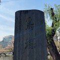 写真: 24.04.15.不忍池辯天堂（台東区上野公園） (4)鳥塚