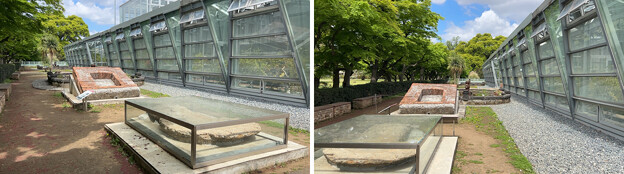 写真: 小石川植物園（文京区） (31)