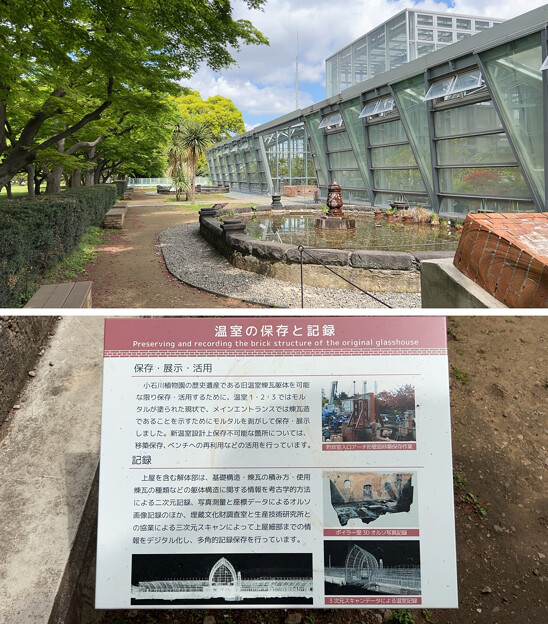 写真: 小石川植物園（文京区） (33)