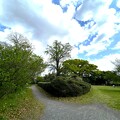 小石川植物園（文京区） (53)