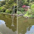 写真: 小石川植物園（文京区） (84)日本庭園