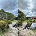 小石川植物園（文京区） (89)日本庭園