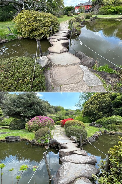 小石川植物園（文京区） (90)日本庭園