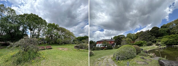 小石川植物園（文京区） (92)日本庭園