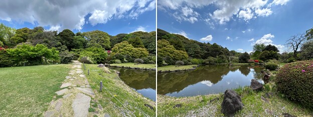 写真: 小石川植物園（文京区） (94)日本庭園