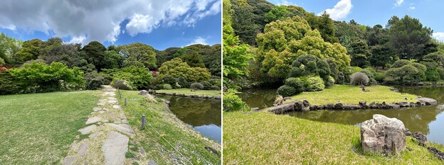 小石川植物園（文京区） (95)日本庭園
