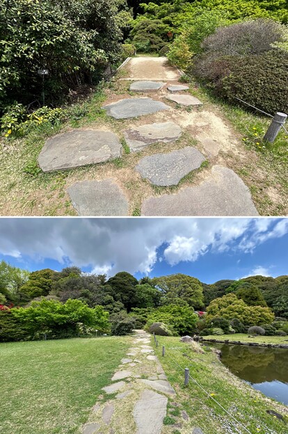写真: 小石川植物園（文京区） (96)日本庭園