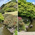 写真: 小石川植物園（文京区） (97)日本庭園