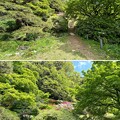 写真: 小石川植物園（文京区） (98)日本庭園