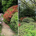 写真: 小石川植物園（文京区） (111)日本庭園