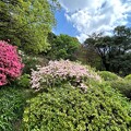 写真: 小石川植物園（文京区） (112)日本庭園