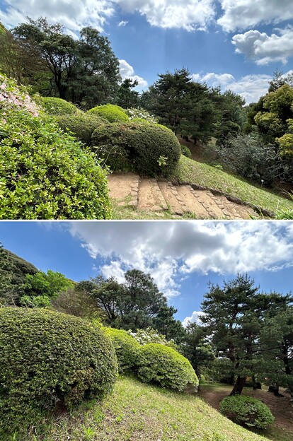 写真: 小石川植物園（文京区） (113)日本庭園