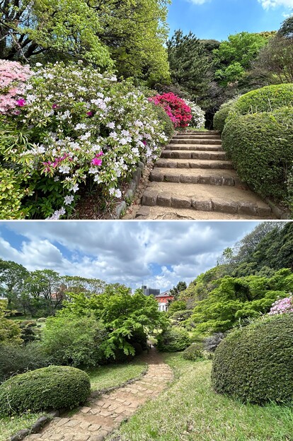 写真: 小石川植物園（文京区） (114)日本庭園