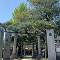 写真: 六月八幡神社（足立区） (3)旗掛の松