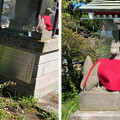 写真: 山ノ内八雲神社（鎌倉市） (19)稲荷神社
