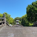 鶴岡八幡宮（鎌倉市） (1)太鼓橋