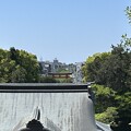 写真: 鶴岡八幡宮（鎌倉市） (8)随神門前より