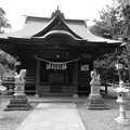写真: 住吉神社  本殿