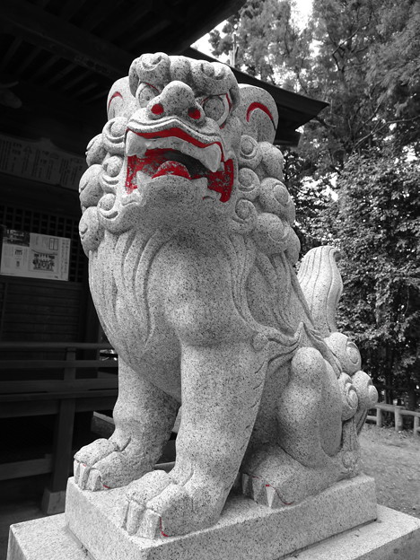 写真: 住吉神社  狛犬