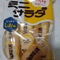 三幸製菓 ミニサラダ しっかり しお味 (≧∇≦)