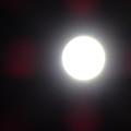 写真: 2021.9.21 十五夜お月さん