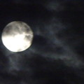 写真: 2022.10.10 今夜の満月