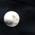 写真: 2022.10.10 今夜の満月