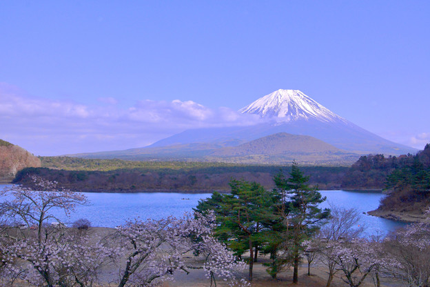 写真: 富士山　日和