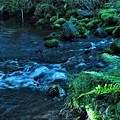 写真: 川の流れ-3
