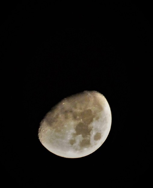 写真: 満月に近づく上弦の月