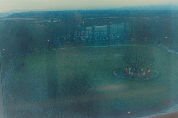 写真: 展望台から見た公園