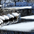 写真: 雪の造形美