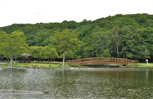写真: 金太郎の池の全景
