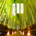 京都　嵐山　竹林の小径
