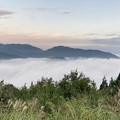 写真: 立雲峡から竹田城跡2
