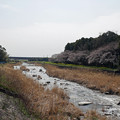 写真: 水車の里から梅の花神埼村へ (2)