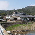 写真: 梅の花神埼村 (1)