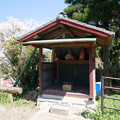 写真: 浅井の一本桜／五分咲き (16) お地蔵様が見守っていらっしゃいます
