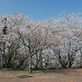 写真: 笹山公園 (1)