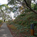 Photos: 桜山公園 ～ 金毘羅宮へ (1)