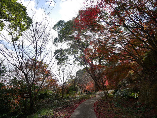 桜山公園 ～ 天満宮と紅葉 (1)
